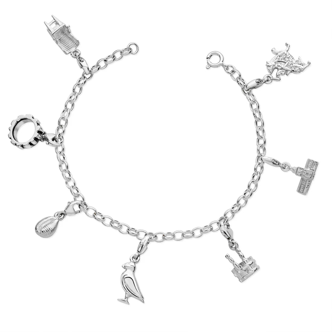 Charm Bracelet (Chain Only)